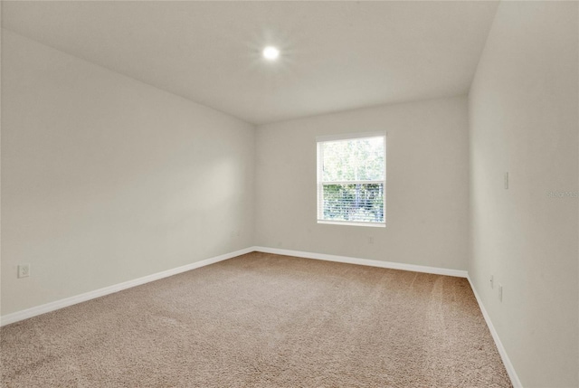 unfurnished room featuring carpet flooring