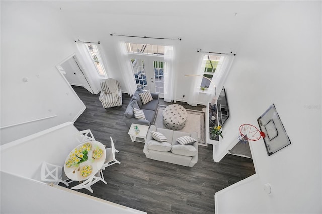 living room featuring french doors and dark wood-type flooring