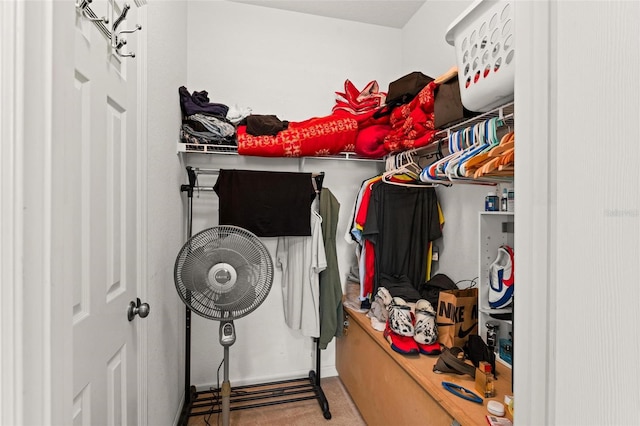 view of spacious closet