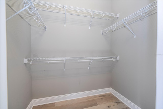 spacious closet with wood-type flooring