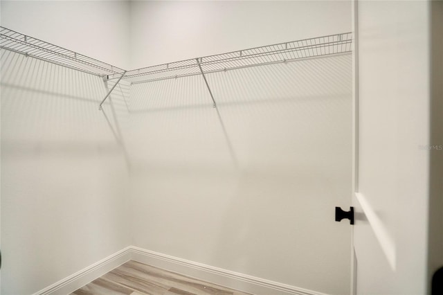 16270 SW 29th Court Rd, Ocala, FL 34473 - walk in closet featuring light wood-style floors