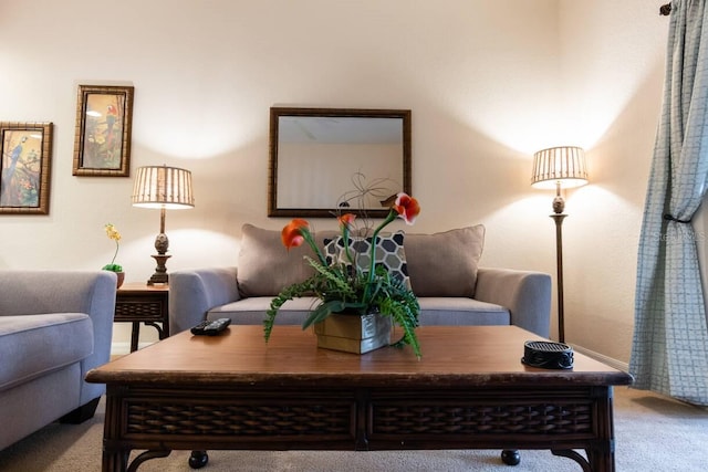 living area featuring carpet floors