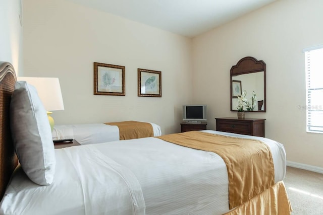 carpeted bedroom with multiple windows