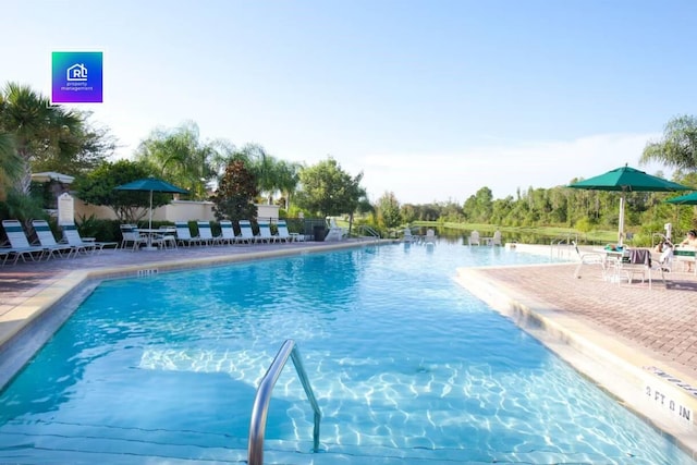 view of swimming pool featuring a patio area