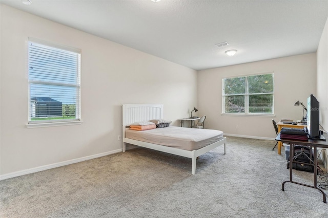 bedroom featuring multiple windows and carpet flooring