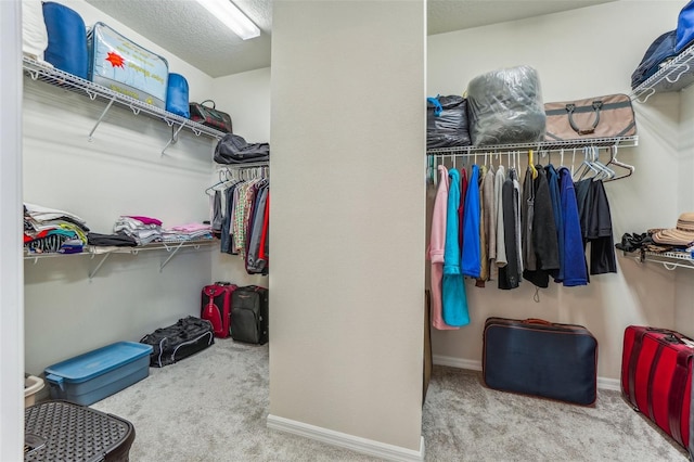 spacious closet with light colored carpet