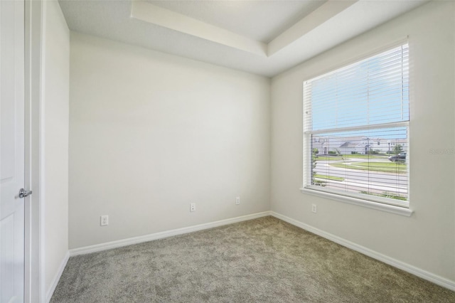 carpeted spare room with a raised ceiling