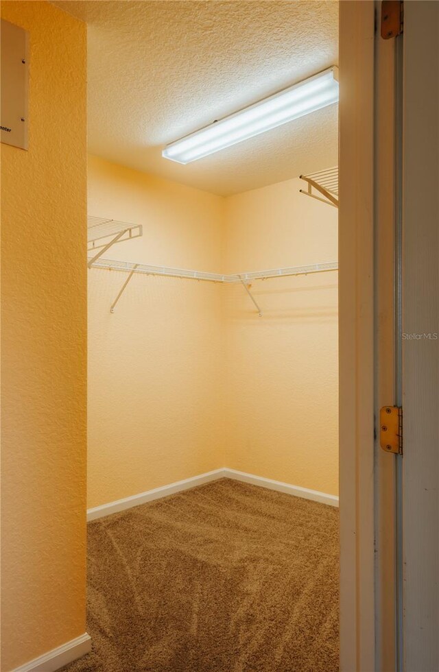 13910 Dove Wing Ct, Orlando, FL 32828 - photo 22