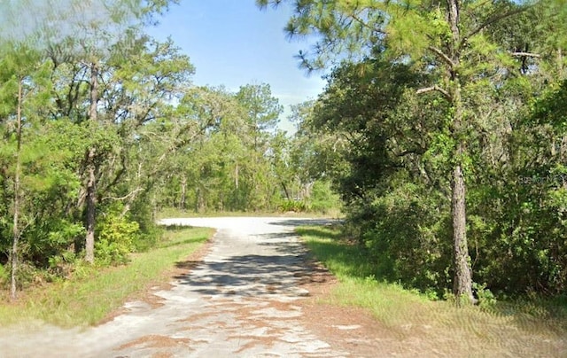 Malauka Loop Trce, Ocklawaha FL, 32179 land for sale