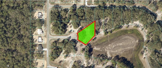 Listing photo 2 for Malauka Loop Trce, Ocklawaha FL 32179