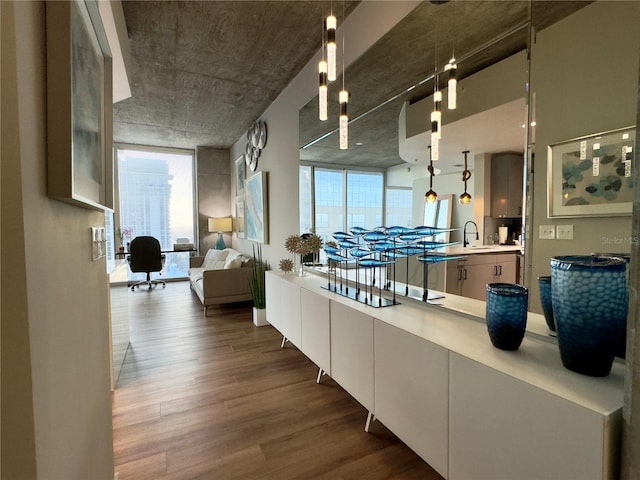 interior space featuring hardwood / wood-style flooring and sink