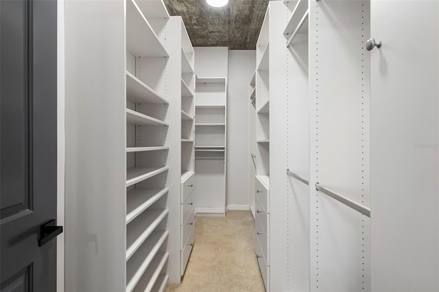 walk in closet featuring light colored carpet