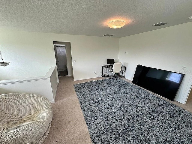 interior space with carpet floors and a textured ceiling