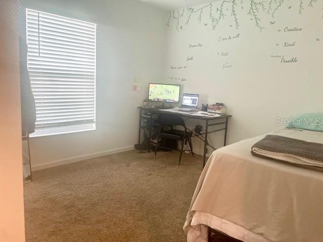 view of carpeted bedroom