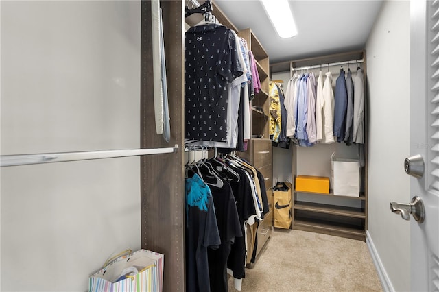 spacious closet with light colored carpet