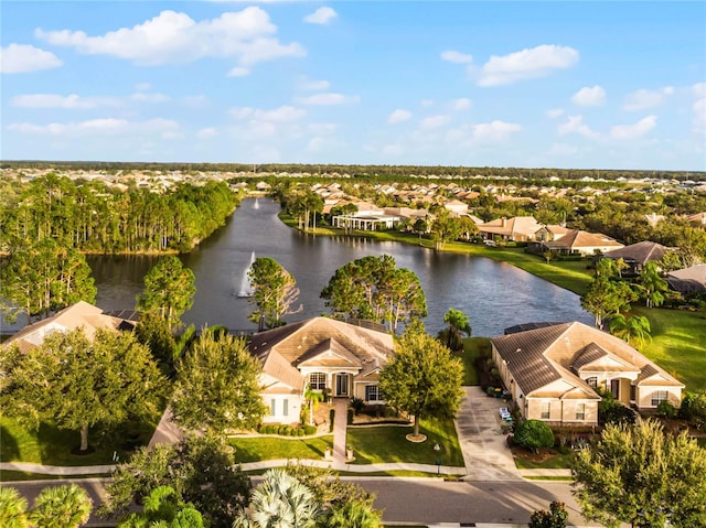 aerial view with a water view