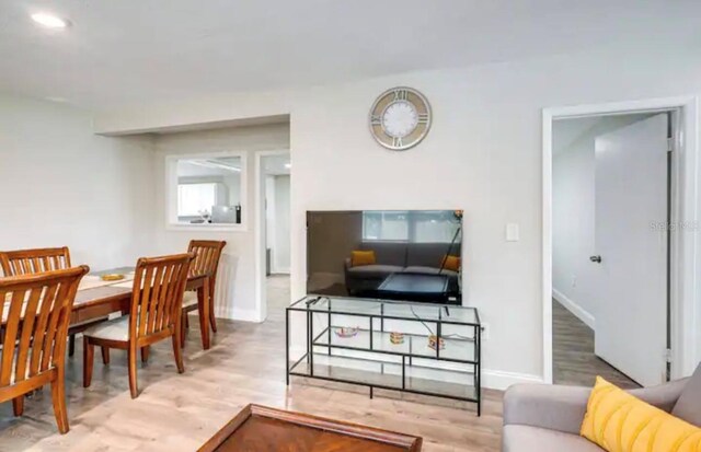 living room with light wood-type flooring