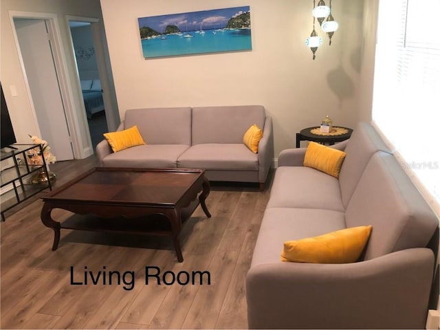 living room with wood-type flooring