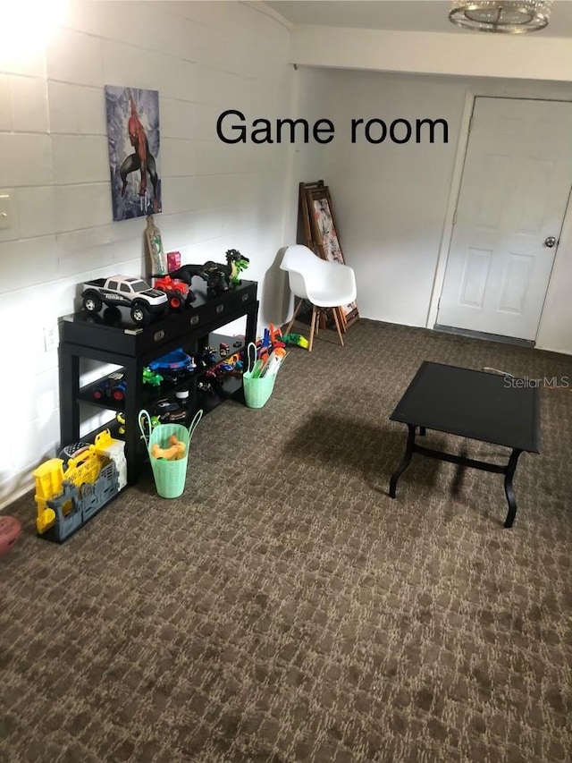 game room featuring carpet floors