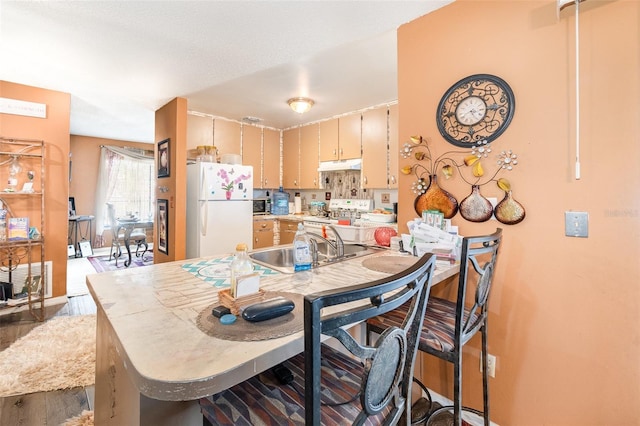 kitchen with dark hardwood / wood-style floors, white refrigerator, stainless steel electric range oven, and sink