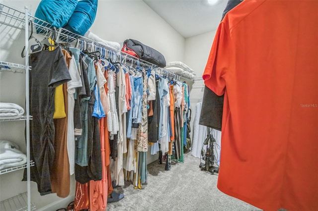 walk in closet featuring carpet