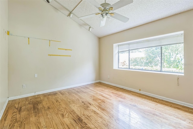 13619 Twin Lakes Ln Unit 15, Tampa, FL 33618 - photo 19