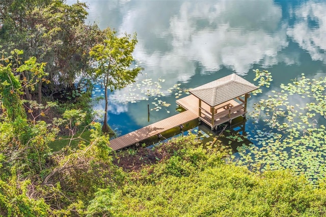 view of dock with a water view