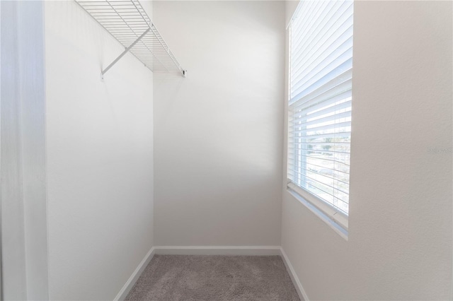 walk in closet with carpet flooring