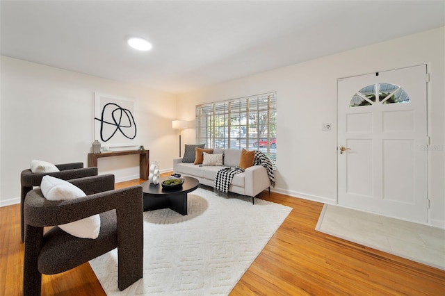 living room featuring hardwood / wood-style floors