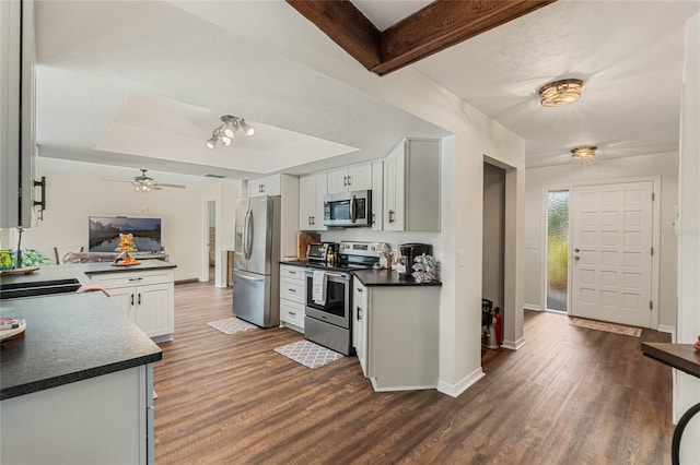 kitchen with stainless steel appliances, kitchen peninsula, dark hardwood / wood-style floors, a tray ceiling, and white cabinetry