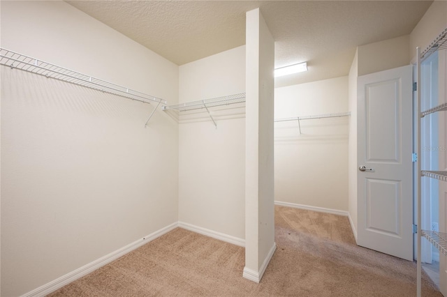 spacious closet featuring light carpet