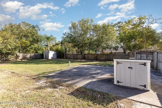 view of yard with a patio and a shed