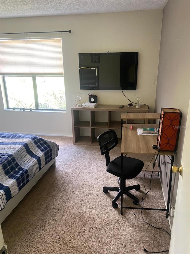 bedroom with carpet floors and a textured ceiling