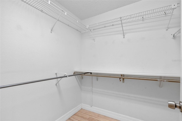 walk in closet with light wood-style flooring