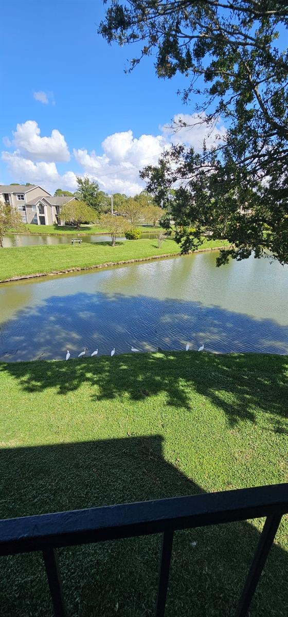 view of water feature