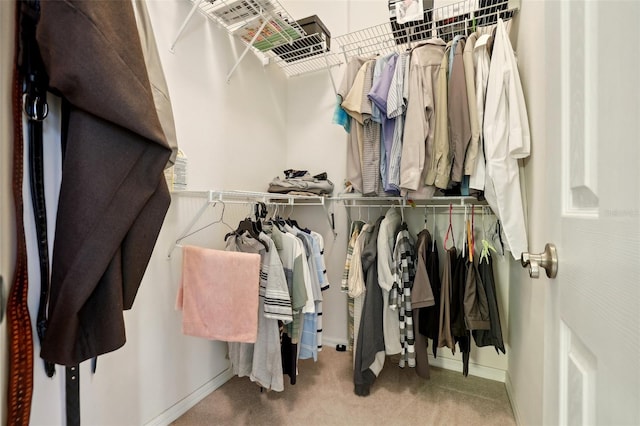 walk in closet with carpet flooring