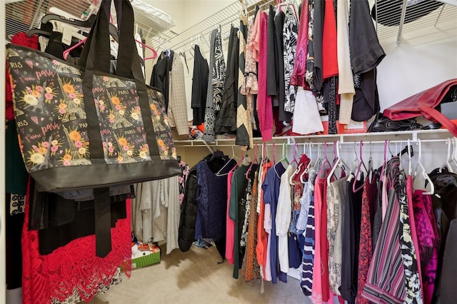 walk in closet featuring carpet flooring