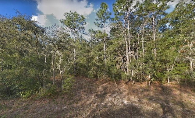 34338 Berryhill Dr, Webster, FL 33597 - photo 2