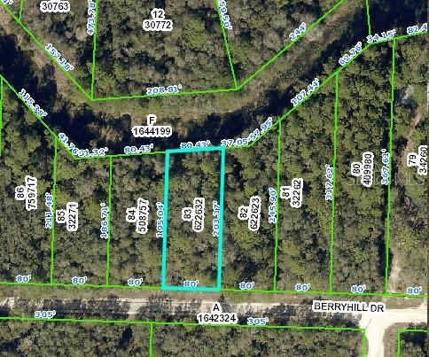 34338 Berryhill Dr, Webster, FL 33597 - photo 6