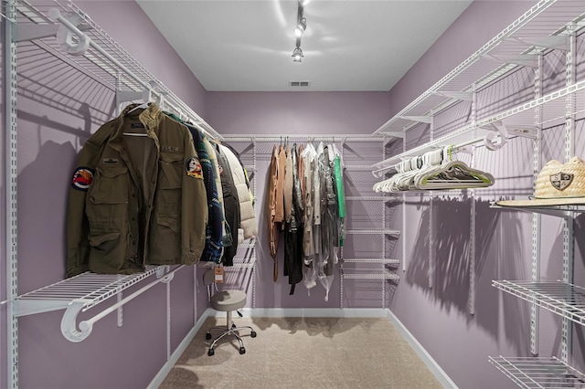 spacious closet with carpet flooring