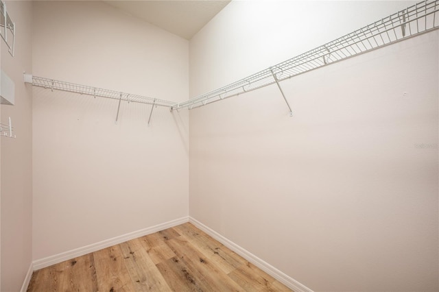 walk in closet with hardwood / wood-style flooring