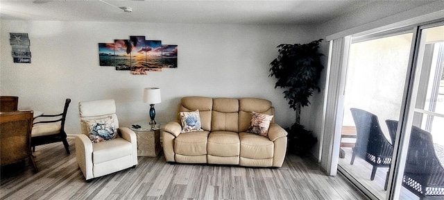 living room with hardwood / wood-style floors