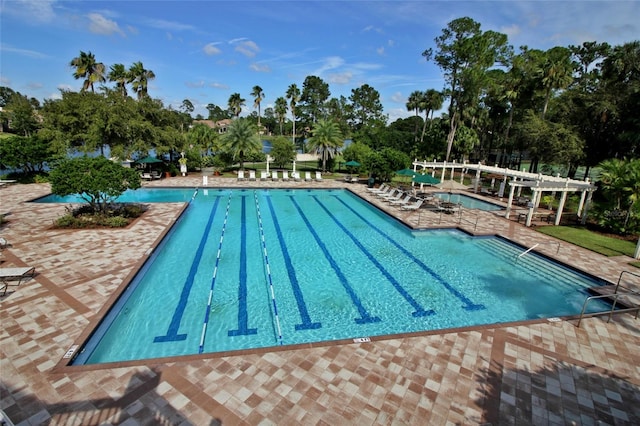 view of swimming pool featuring a patio and a pergola