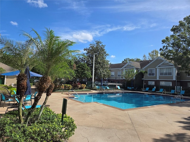 view of pool featuring a patio