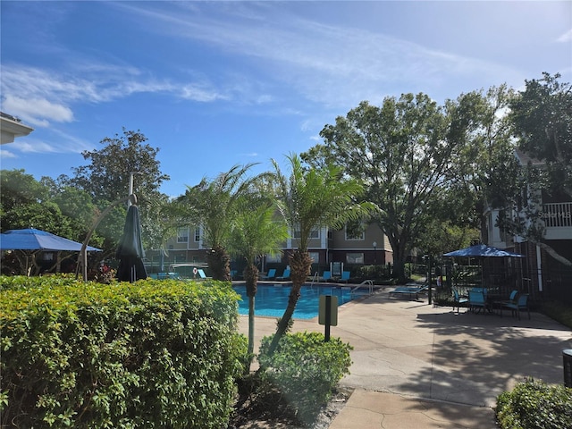 view of pool featuring a patio area