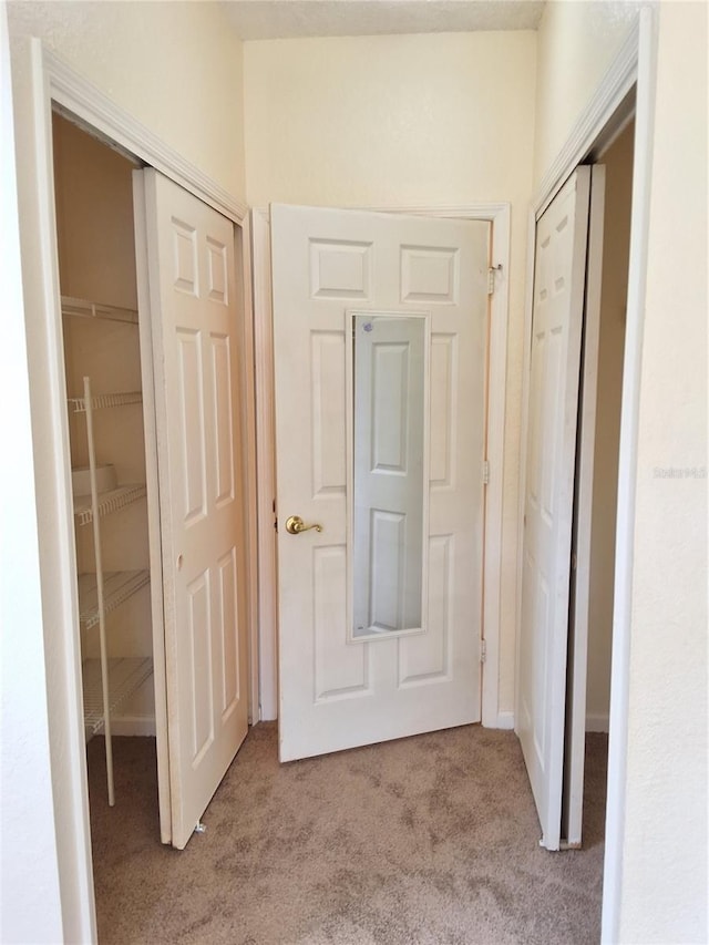 13103 Mulberry Park Dr Unit 817, Orlando, FL 32821 - hallway featuring light carpet