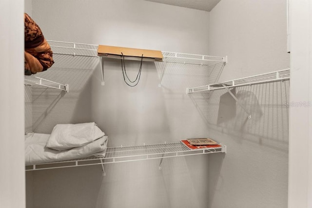 view of walk in closet