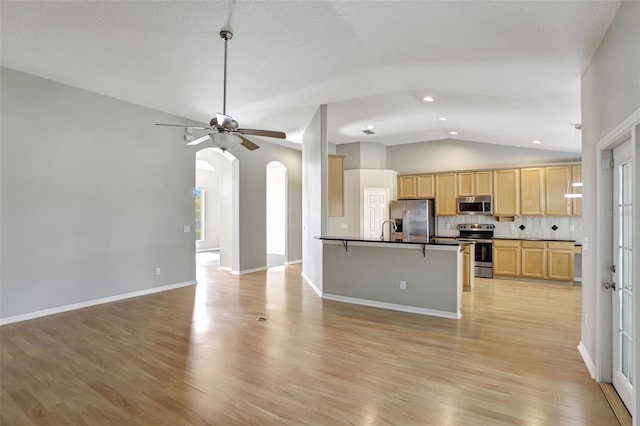 kitchen featuring plenty of natural light, light hardwood / wood-style floors, light brown cabinets, and appliances with stainless steel finishes