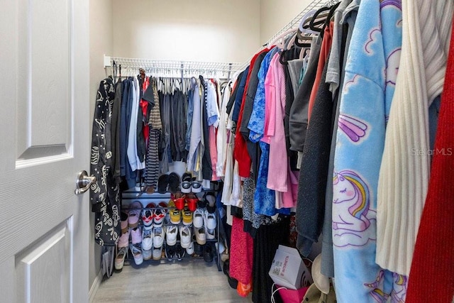 spacious closet with hardwood / wood-style flooring