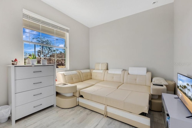 bedroom with light hardwood / wood-style flooring